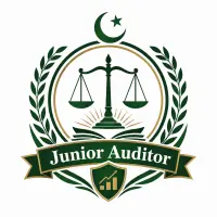 Junior Auditor Jobs logo