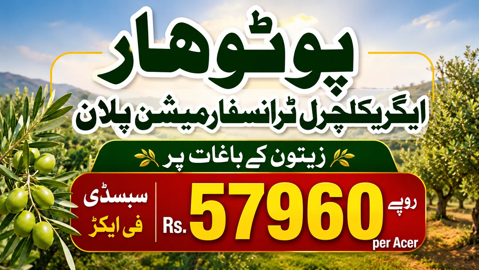Subsidy For Zaitoon Garden in Pothohar Region